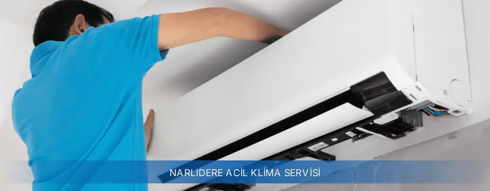 Narlıdere İlçemi General Electric Acil Klima Servisi