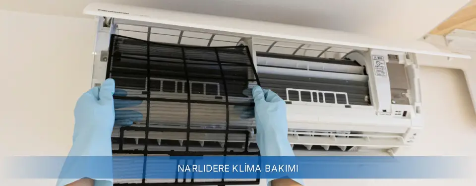 Narlıdere İlçemi General Electric Klima Bakımı