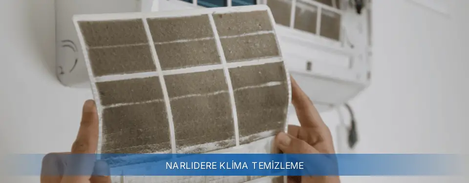 Narlıdere İlçemi General Electric Klima Temizleme